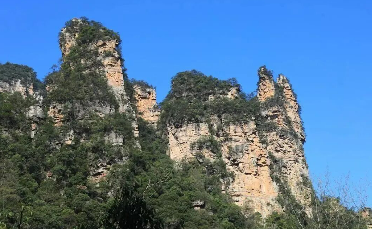 8b0ec445a7030035bc07b43aadc1d720