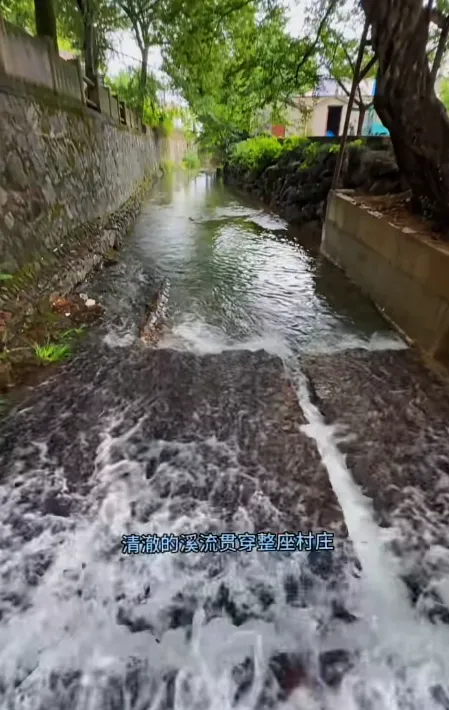 8b42c484c5569dde6dda809ec8332cef-sz_545383