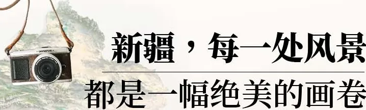 8b55ca763c28ca2199088e6673bcea84-sz_707747