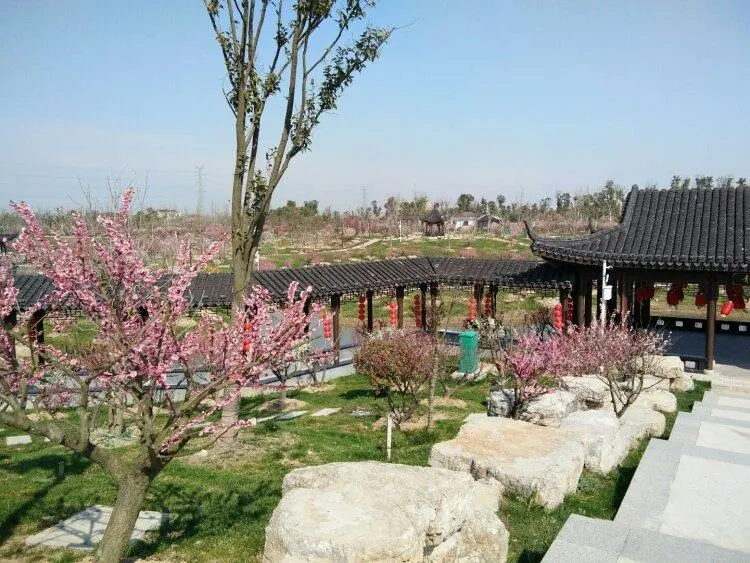 8b5cf9dcee690606092fc917d60b494c-sz_106730