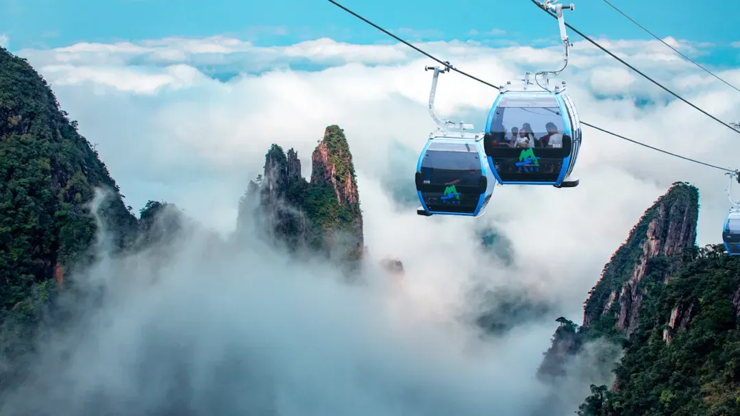 8b747c9c126038fb771dcf01a21131c0-sz_1014235