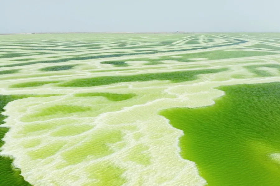 8b7775852f67b936d1e57030bf660f78-sz_372234