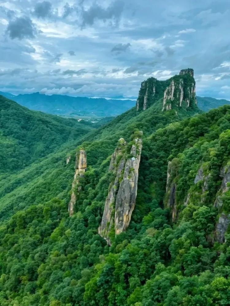 8b8ded811a0e1c8cce81d284b2e5dd31-sz_3462833