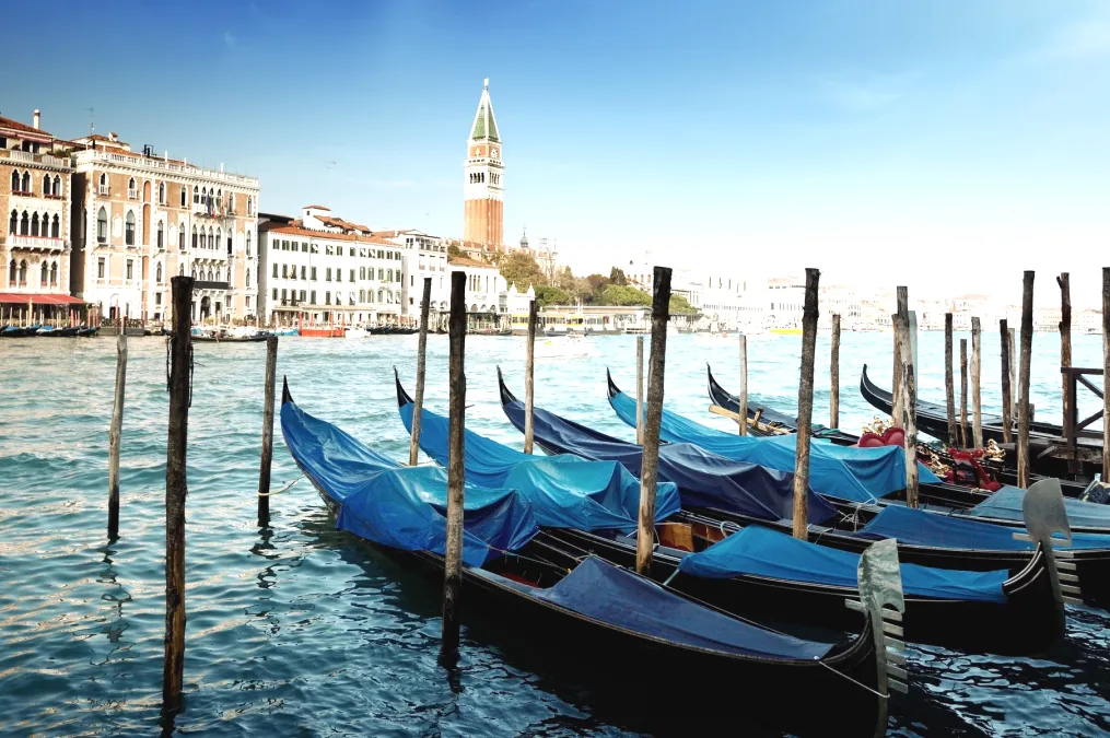 8b8ec0c7b819c98105cb69b80bff1e89-sz_872059 8b8ec0c7b819c98105cb69b80bff1e89-sz_872059