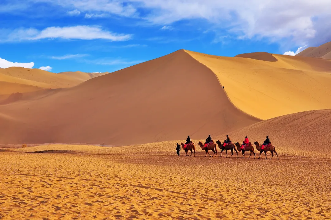 8ba477b3d896902e1d182ab862eaa397-sz_6520296