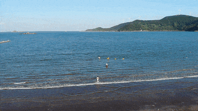 8bea1e81eb0e7a28d14fb3dc6ea48783-sz_174680