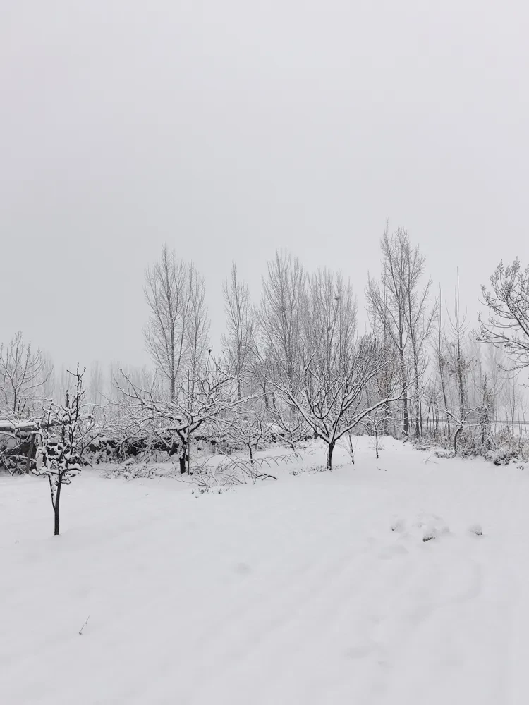 8c0c940d1ebaf1bbb564d0a8d58eacb5_sz-903401