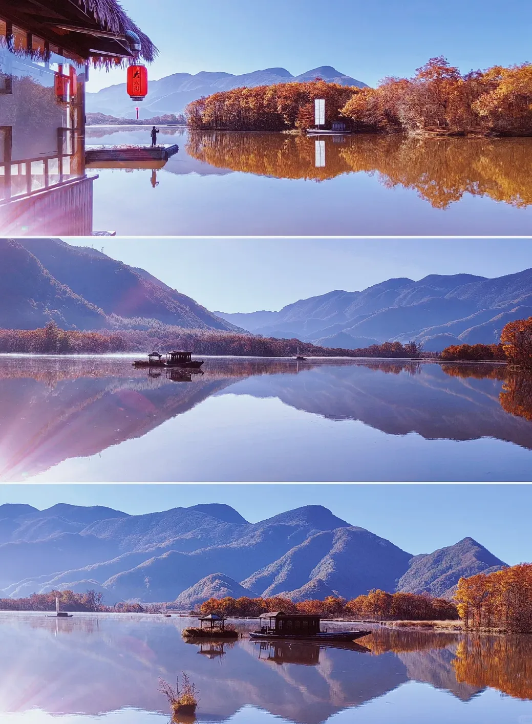 8c3b54671d59ea3fcc45b0330ca40d2d-sz_2314531