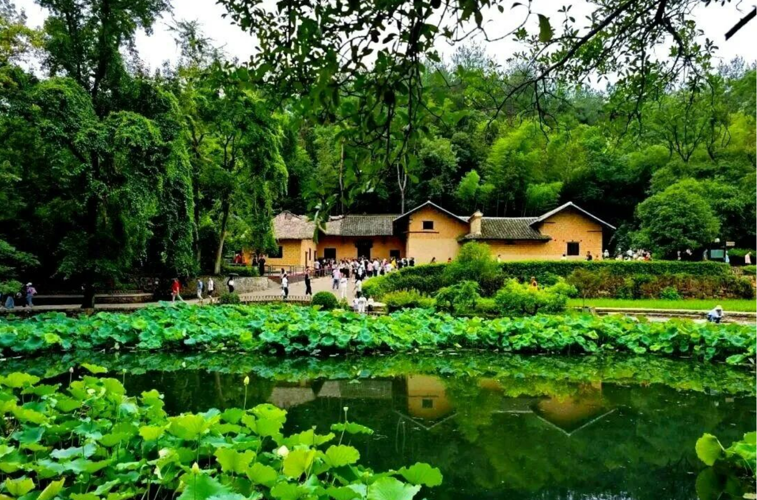 8c403f1cba22a04938a86b9be889b072