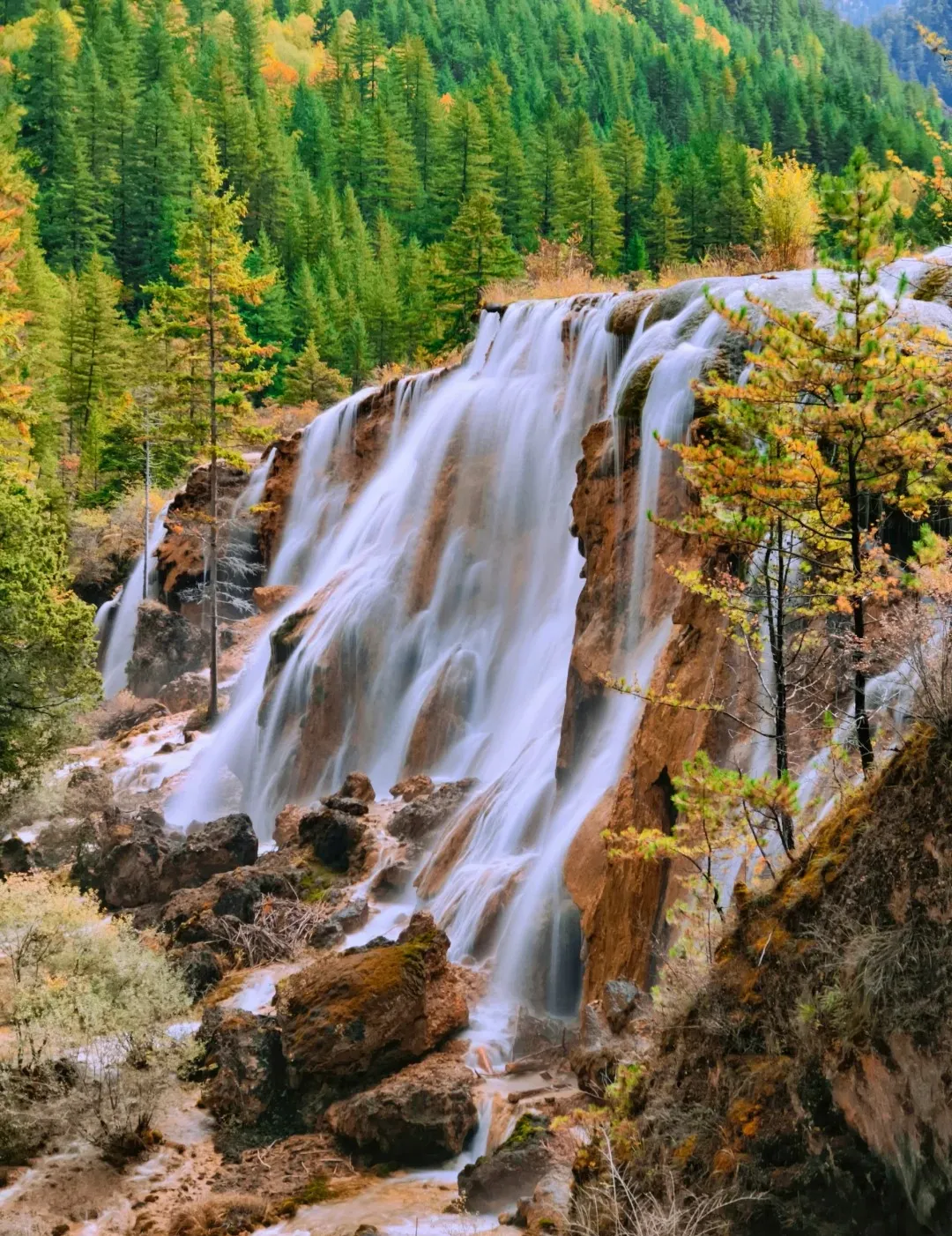 8d6f42e1b4af494014520e6d462764cc-sz_578440