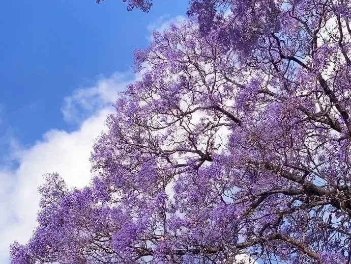 8ddc59efe04d28248def2f07a5cc878e-sz_793348