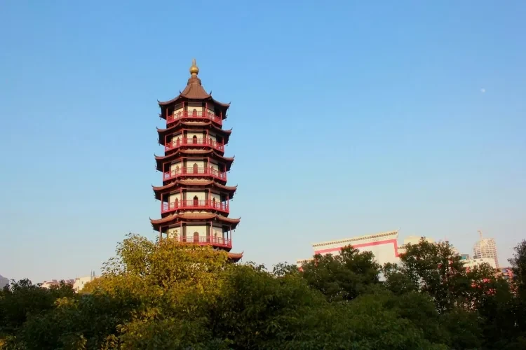 8e348d3118f9539769c16f9bf866e8f7-sz_382156 8e348d3118f9539769c16f9bf866e8f7-sz_382156