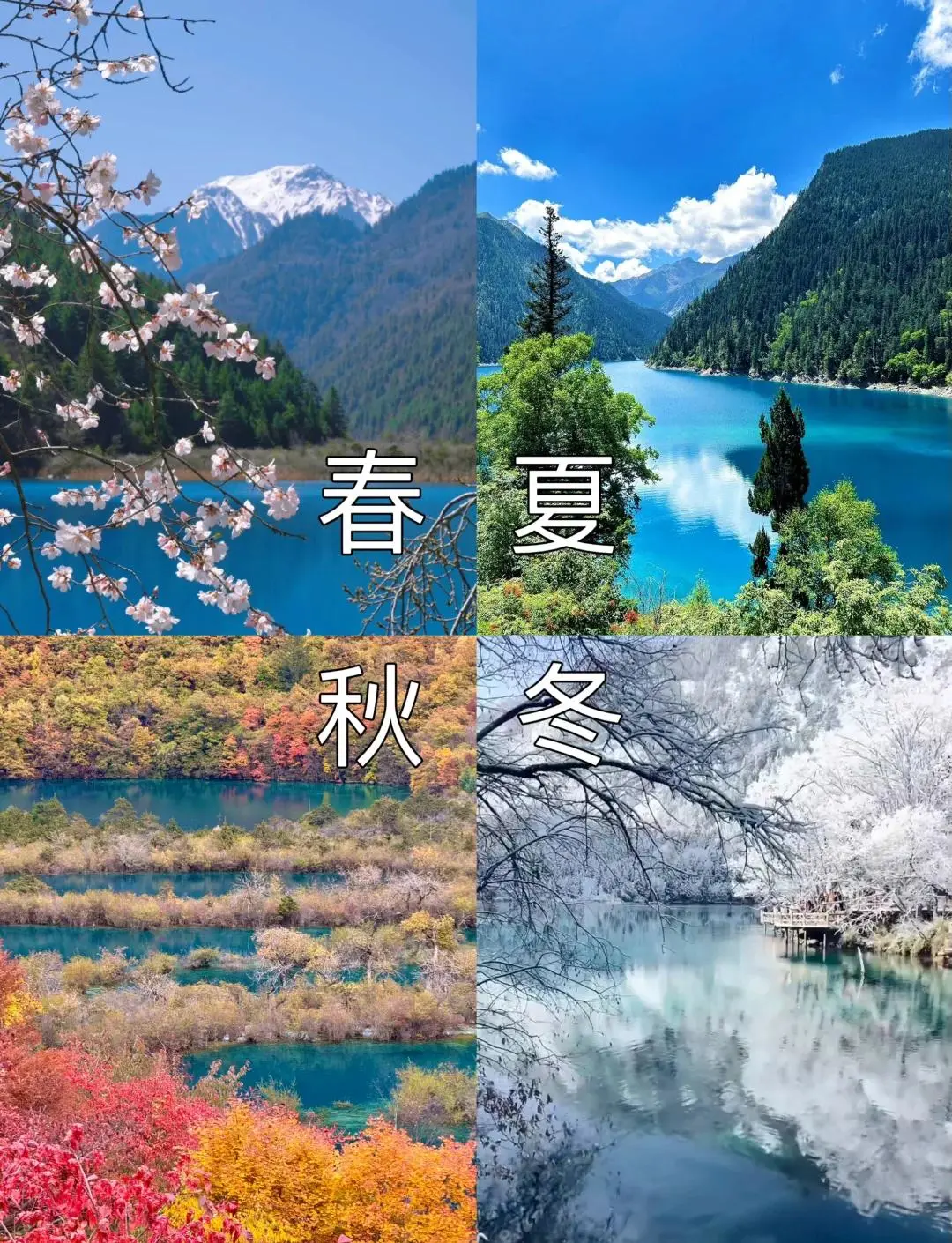 8e6cbf7bbb6b27d1045d1f62e4fe0498-sz_340309