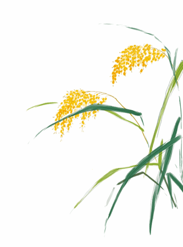 8eecf0a7fb425f95a752070aceb9f6a2-sz_2996694