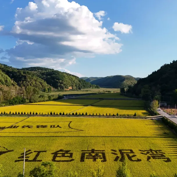 8ef0327bd83a1baa165c0dfb3b2e9594-sz_3274782