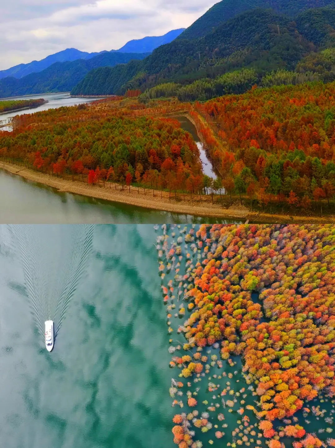 8f7b90460701ef46bab5b572d3ce1024-sz_370498