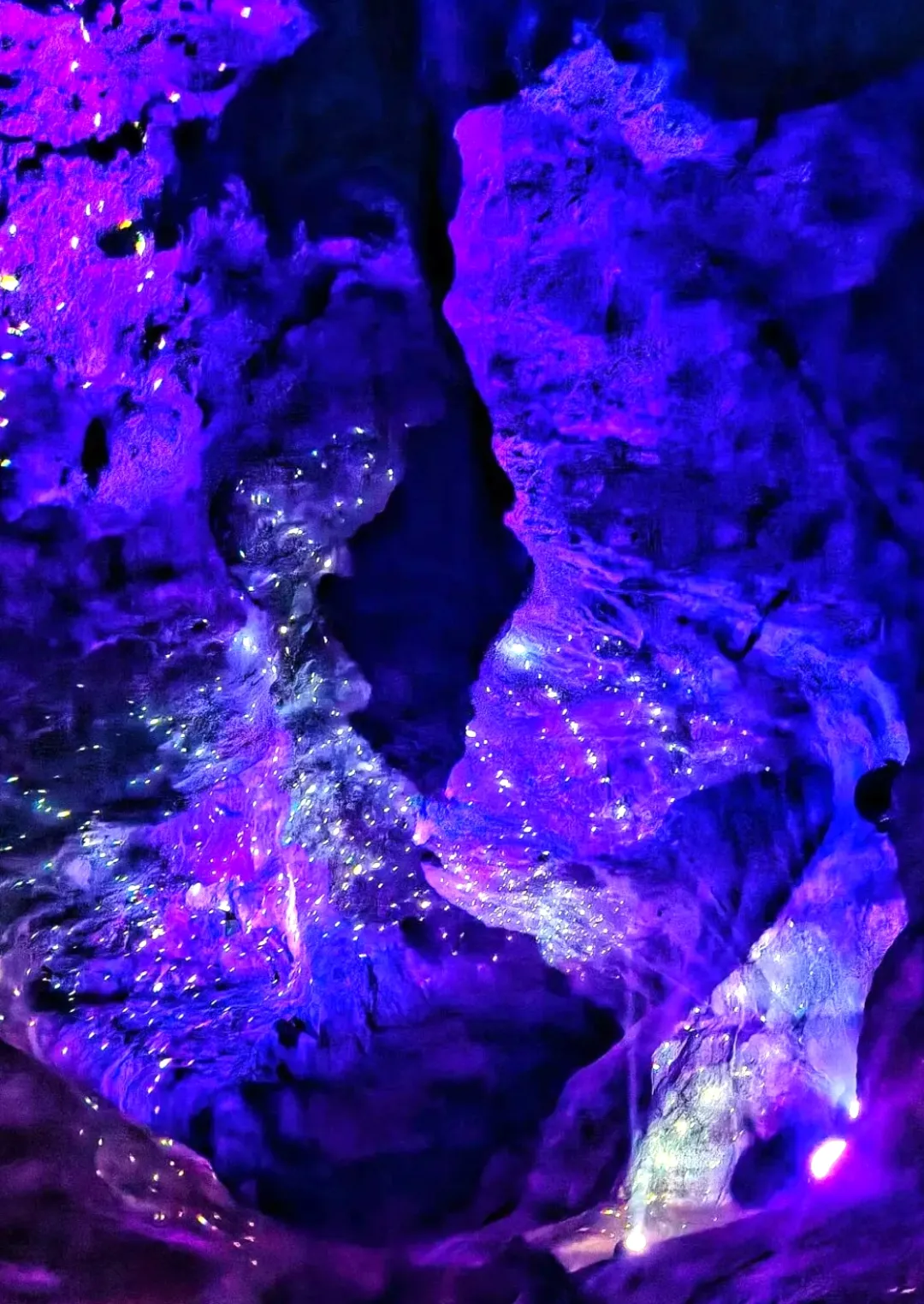 8f9baba2e18c256b9f4b72d587a59f6b-sz_1278997