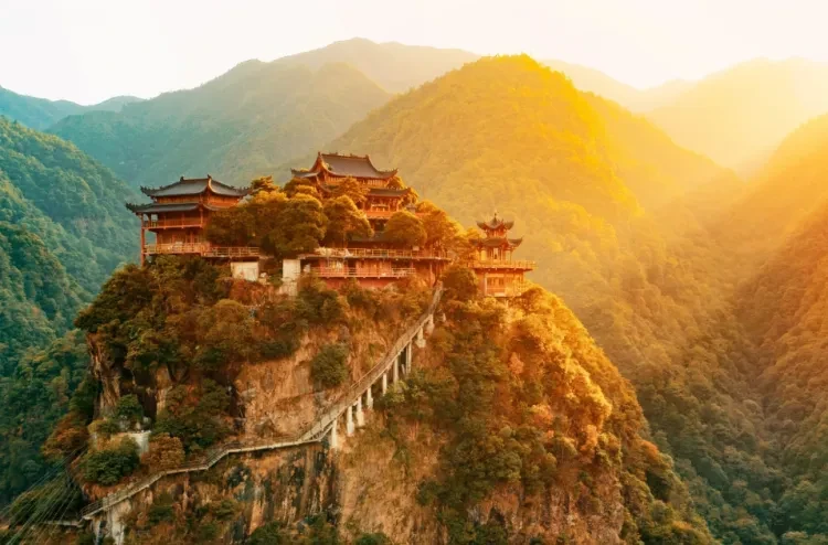 8fd6a464b11c8d0c82092ea573478eb0-sz_1089912