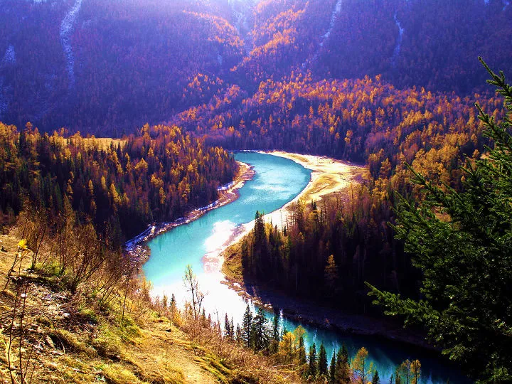 8ffbe1e9cb7b9770ac6378f9c23c6937-sz_248859