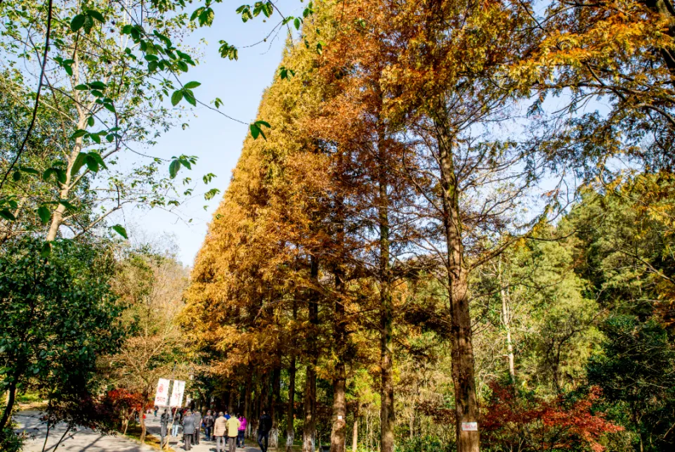 902bb1e41e6c972be7cf319576c1ec82-sz_1665373