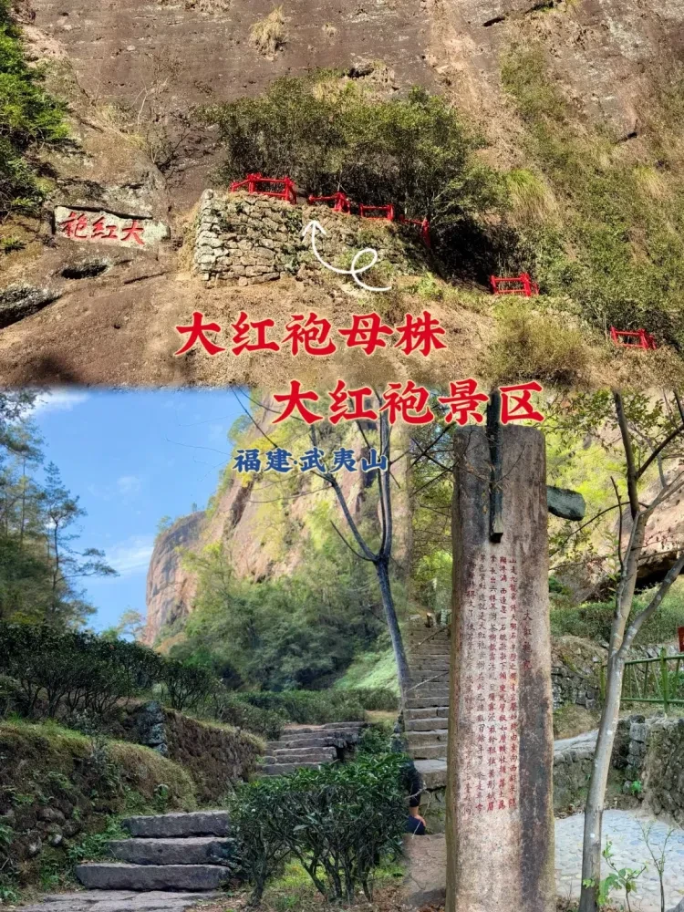 903955e73da0f799e2632611be804ea4-sz_4298755 903955e73da0f799e2632611be804ea4-sz_4298755