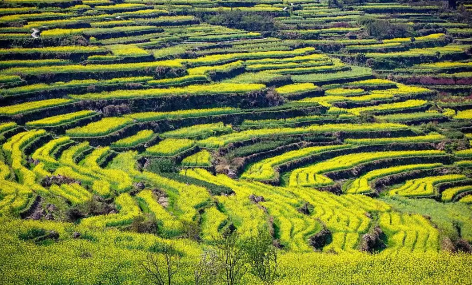 90745a446e561d80629e501910e749aa 90745a446e561d80629e501910e749aa