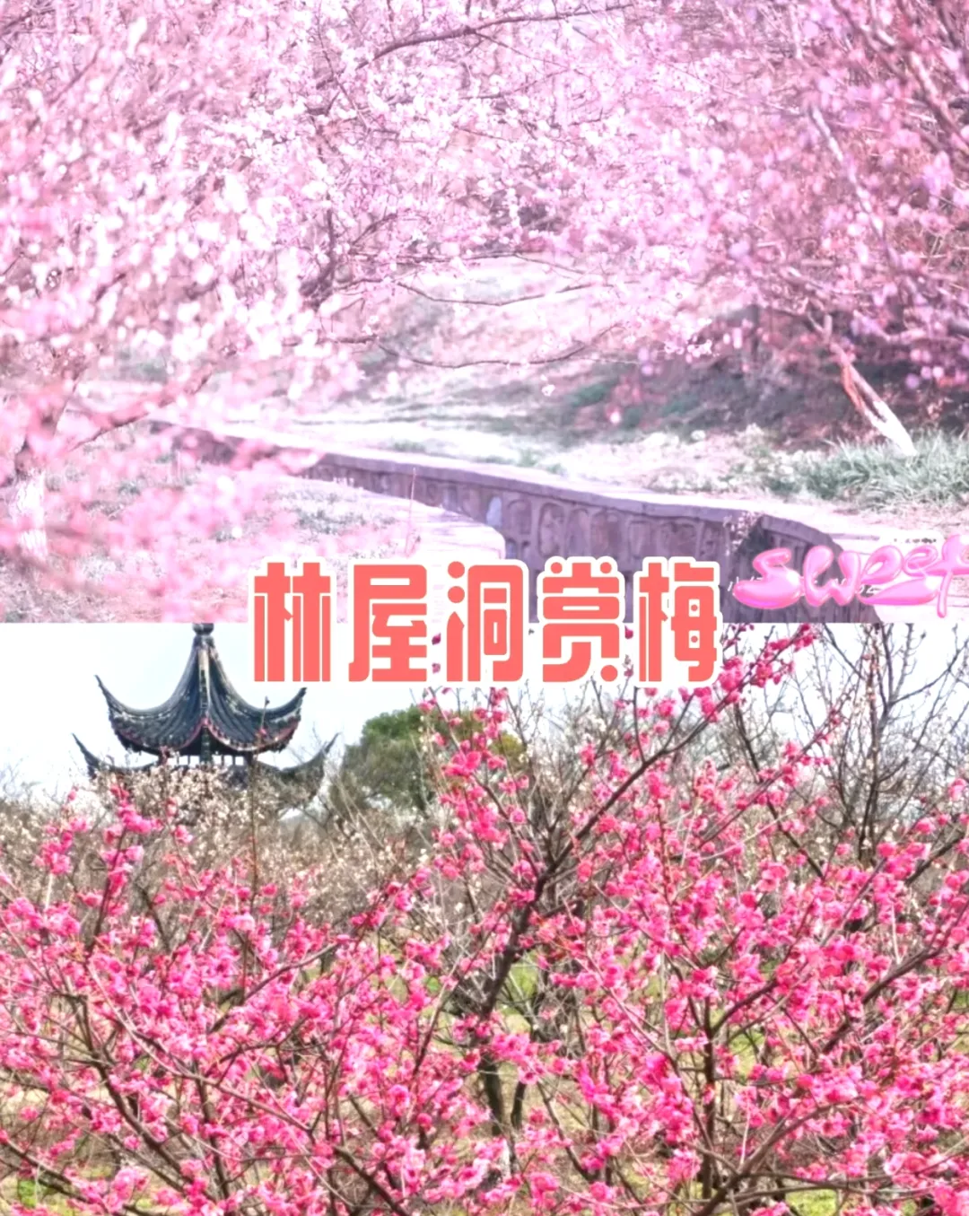 90b0941e6e6d82600a6c460bf3d36063-sz_1540611