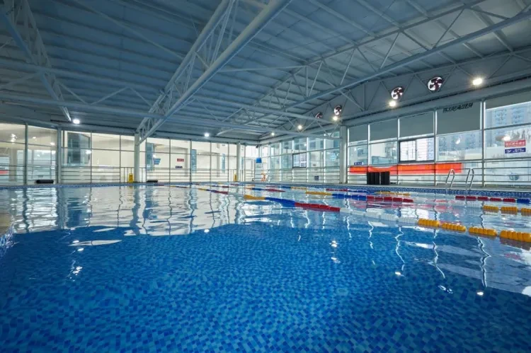 91284c13398044462c655a334268ecb4-sz_156198