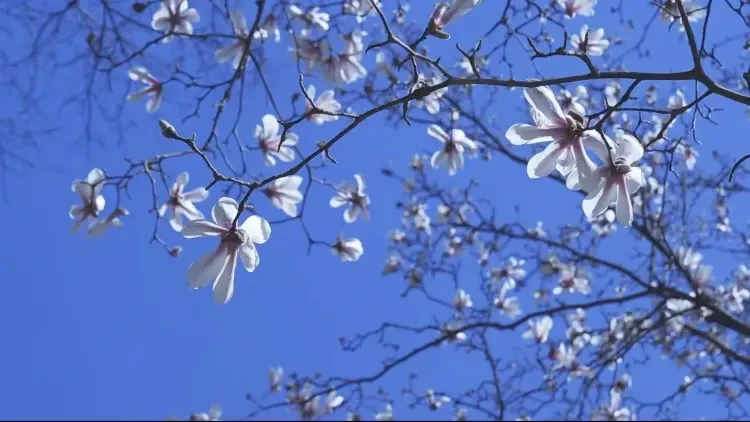 913940416001d0416eabdf68be3bd409-sz_111293