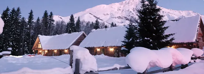 916f0d83367816c5baed784ab3e8d45c-sz_1013510-1