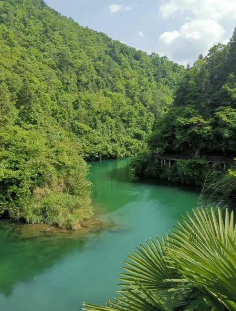 91c31aa06d4542dce192699111d59437-sz_806917