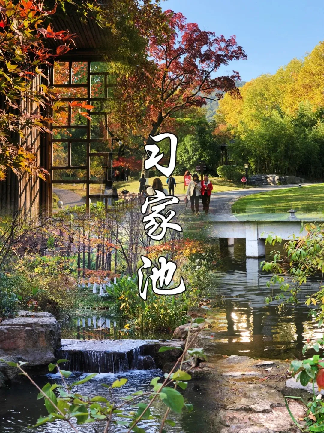 92453692cce3a29287675a111d2c33c4-sz_3425005