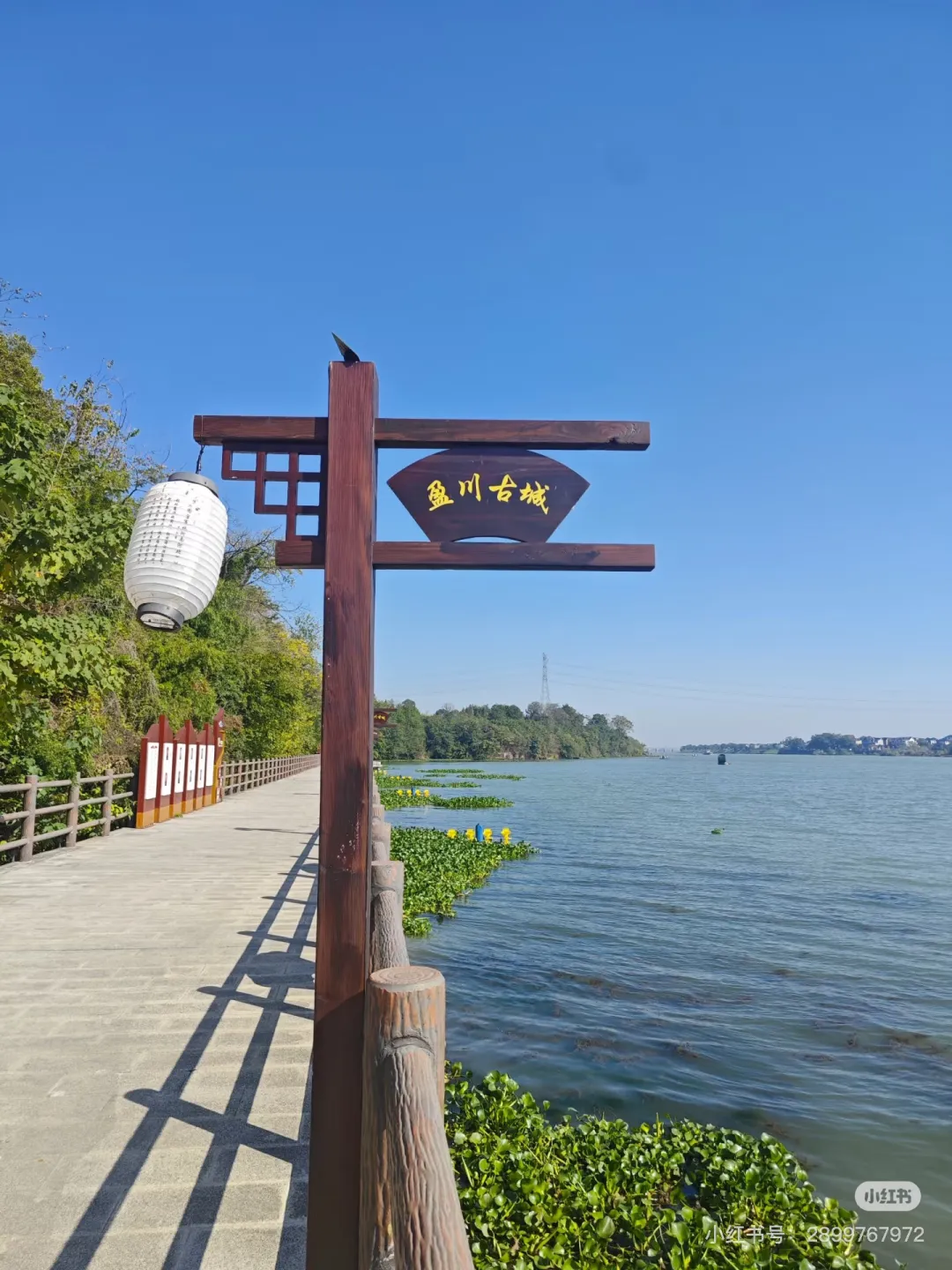 927478a8dc942434f78e5ab4d93eae79-sz_603022