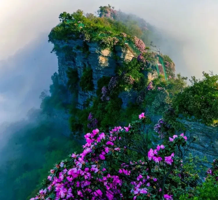 92a602a1f899a63c1653c83fd11b06a6-sz_200806 92a602a1f899a63c1653c83fd11b06a6-sz_200806