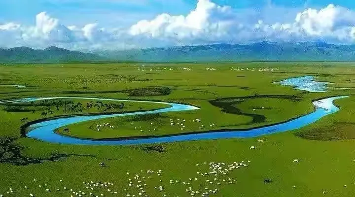 92b0b8e42b39c2302ec849858aec8563-sz_113579