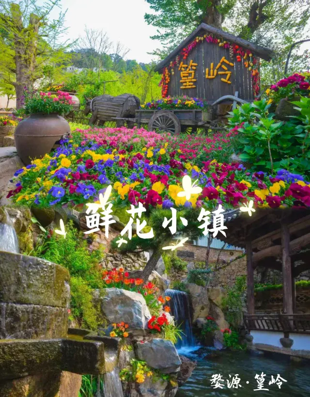 92f086b1fa6b152ef5809174f876cf35-sz_1020055