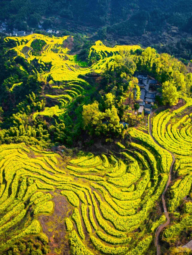 92f6b73d28ef1a902a2806fa6f22e076-sz_1193837