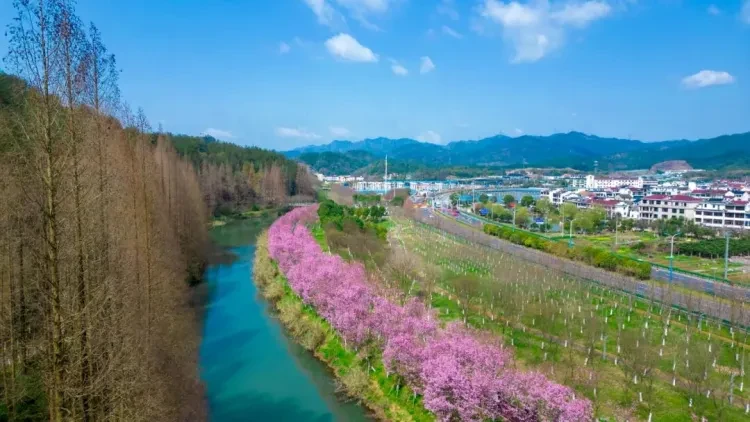 9318efc79ae985fb0ce734e336a8b5c9-sz_129593