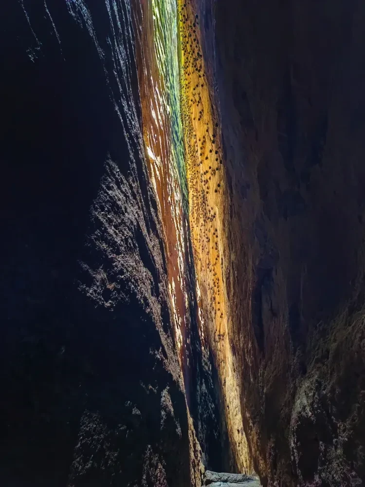 9323d41b61c6398a209c0fd8c6d667f4-sz_2011295 9323d41b61c6398a209c0fd8c6d667f4-sz_2011295