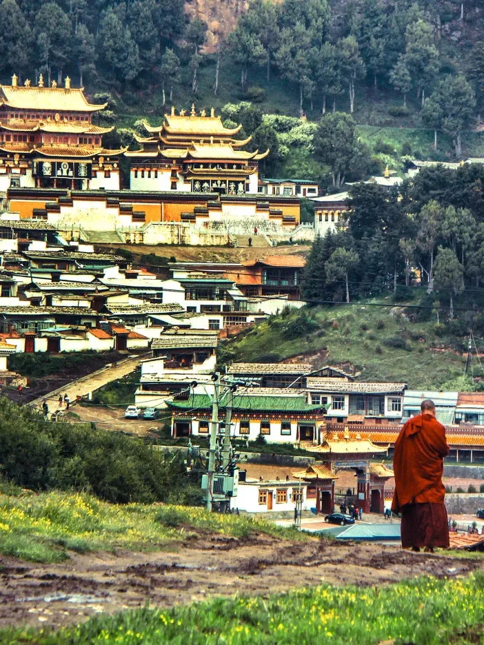 932fce3abc24a827440beaf3c2c351bd-sz_770689 932fce3abc24a827440beaf3c2c351bd-sz_770689