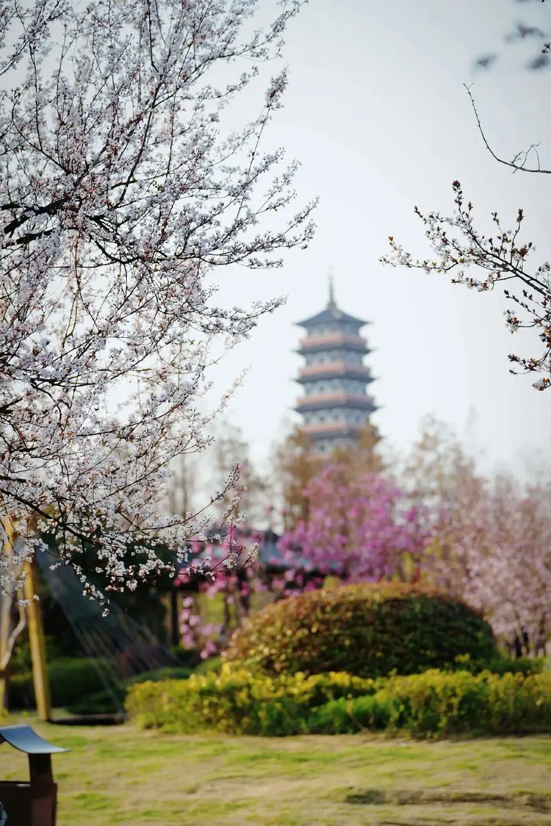 936d906b814a84c49c84977f443c3e92-sz_182156-1