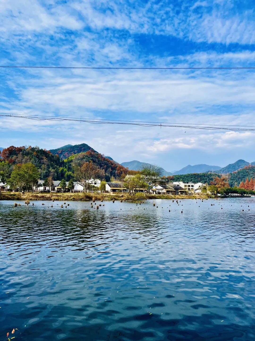 93729f4d68a2c7b461f38e1b1da17976-sz_2048263