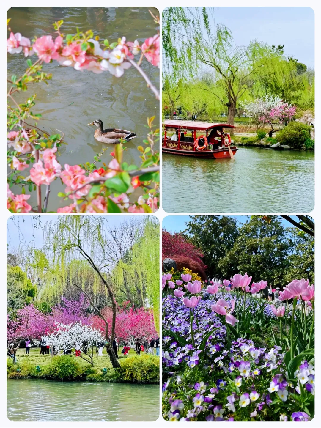 937ae3d08b9fc7aa8d6a5798468a1282-sz_1243248-1