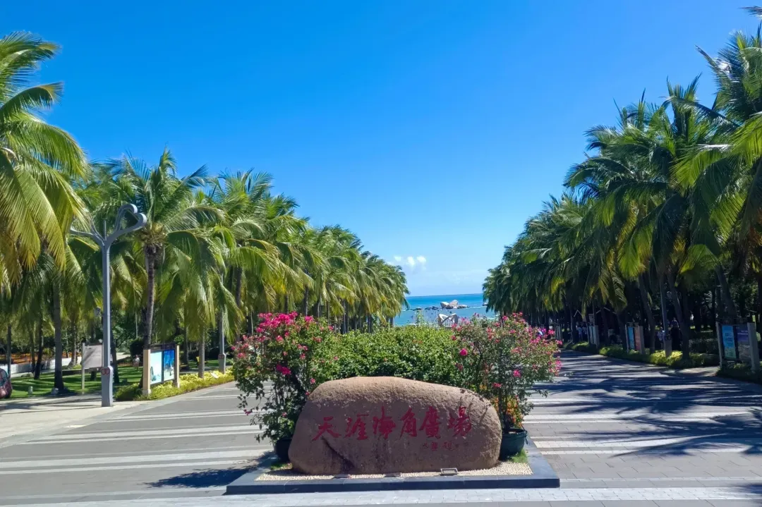 938bf5e79c13f41d890bfba44bc2be9c-sz_1037257