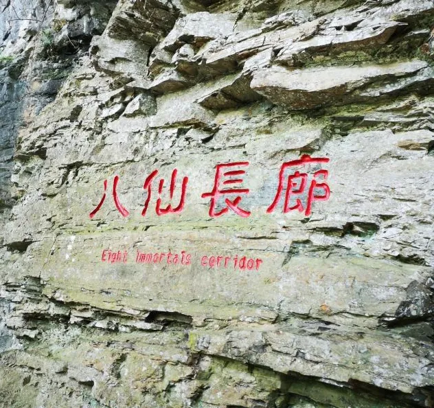 93a9566badf8cb8d9039ebec58b4523b-sz_924092