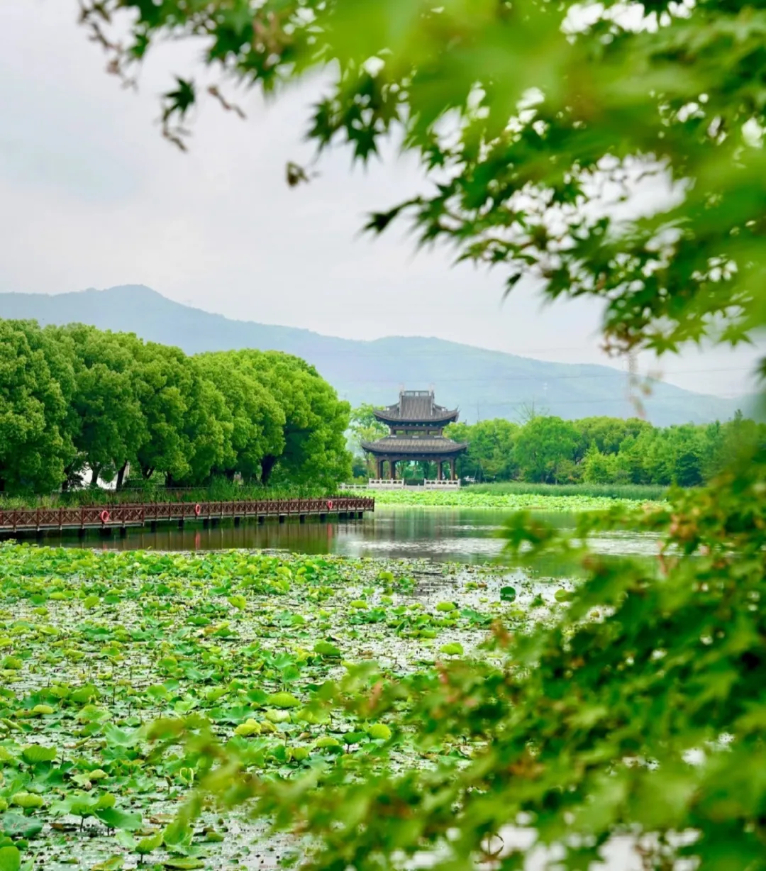 93dc562cdc682e073d3e8015e4c61272-sz_442899 93dc562cdc682e073d3e8015e4c61272-sz_442899