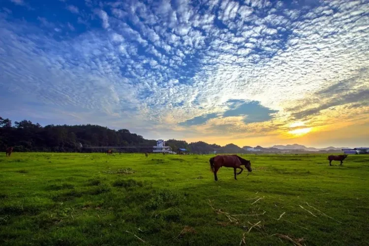 940918481fd581b59ade5cd70f1f7018-sz_154723