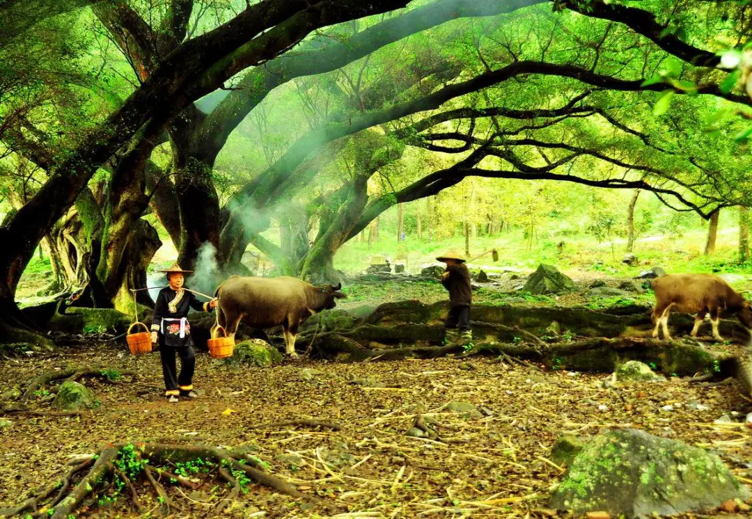 9429d54046a11484f35cf8277de08d57-sz_305734