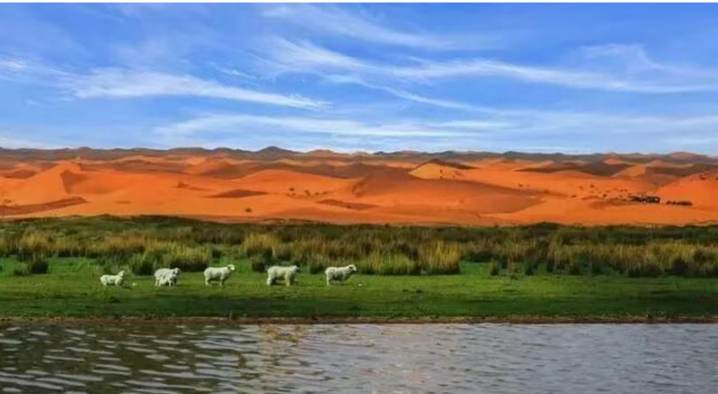 948255b1995ed53aa9757f5fadfc2f41