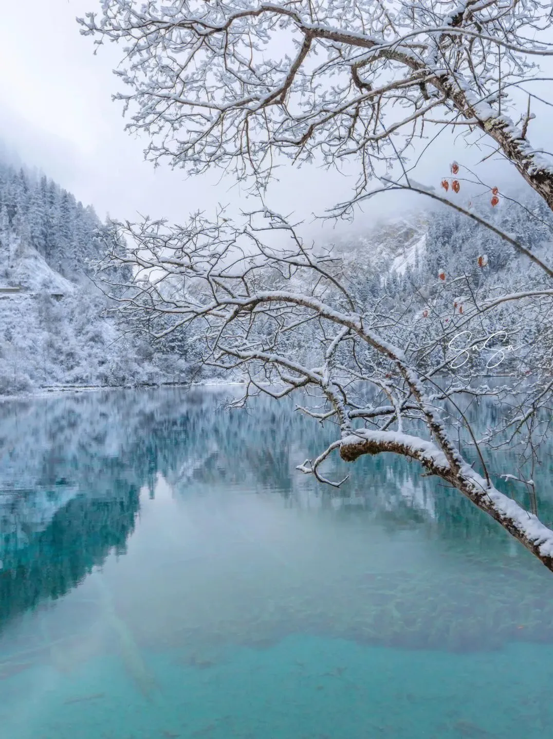 94cf022176141037d709b68b107f293b-sz_280948-1